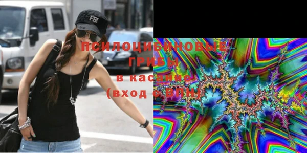 ECSTASY Аркадак