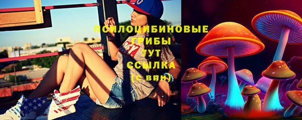 ешки Арсеньев